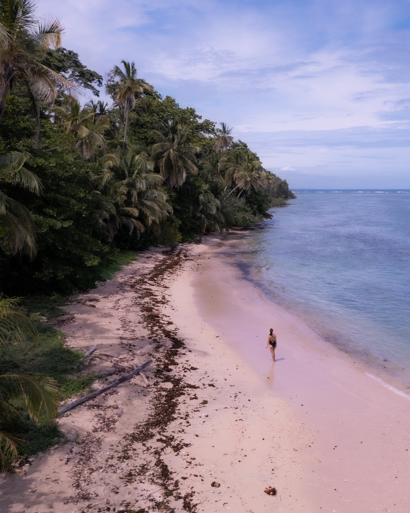 Plage sauvage de la côte caraïbe