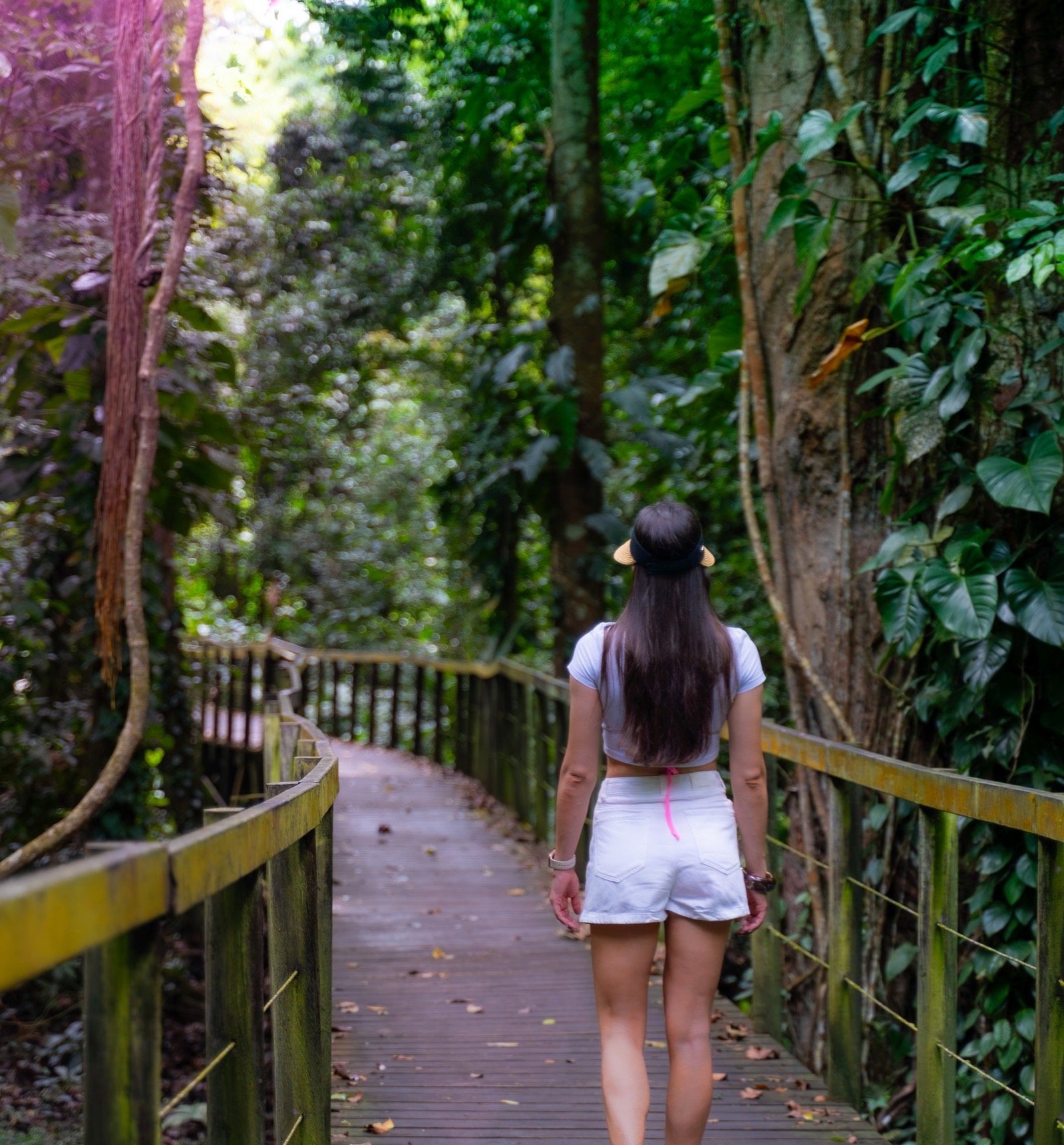 Sentier sur pilotis dans la forêt du Parc National de Cahuita