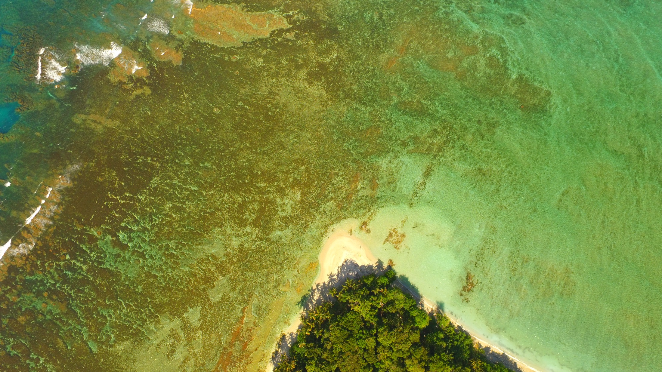 Le récif corallien de la pointe de Cahuita vu du ciel
